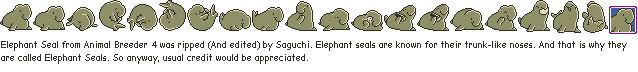 Animal Breeder 4 (JPN) - Elephant Seal