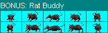 Rat Buddy