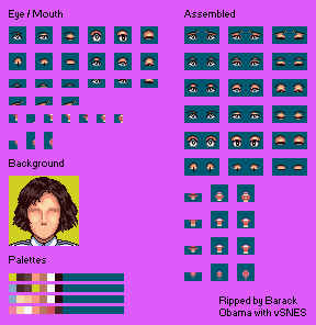 Pilotwings - Shirley (Components)