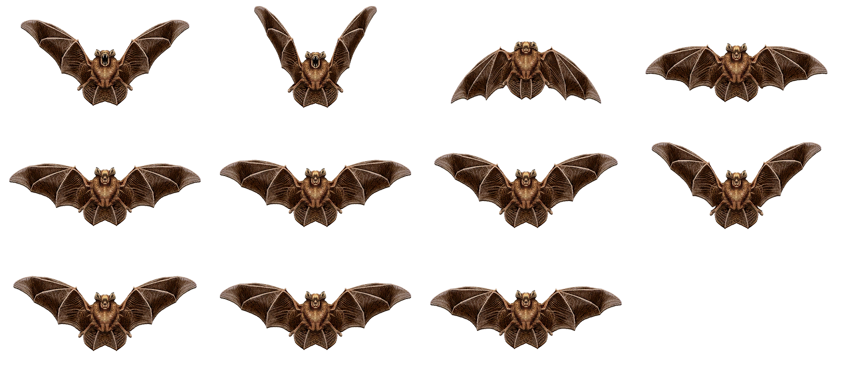 The Quest - Bat
