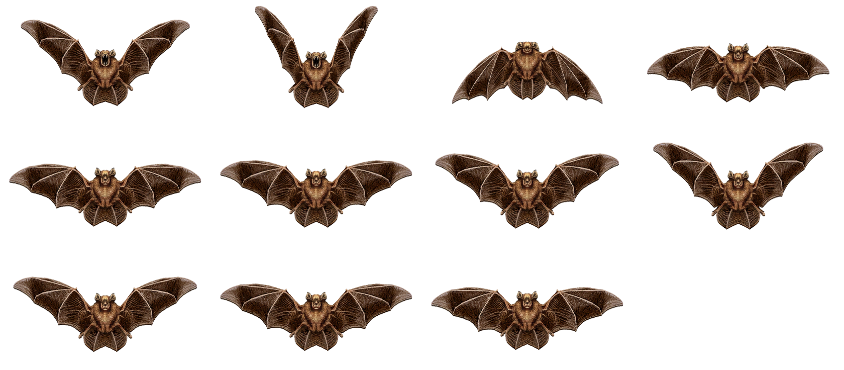 Bat