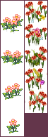 Pocket Mirror - Flowers
