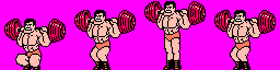 Tecmo World Wrestling / Gekitou Pro Wrestling!! Toukon Densetsu - Squats