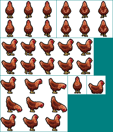 Chicken