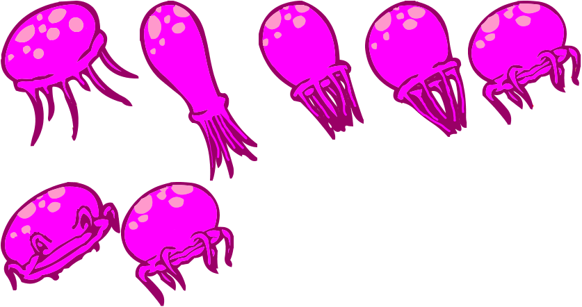 Jellyfish