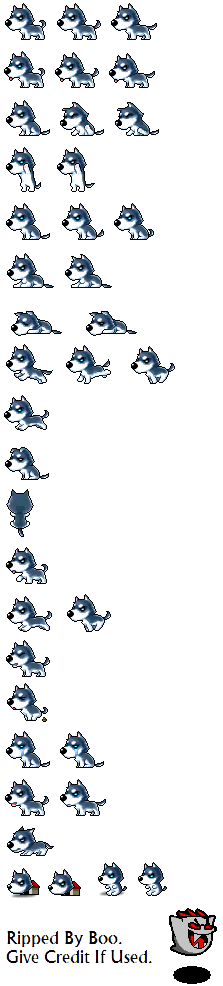 MapleStory - Blue Husky