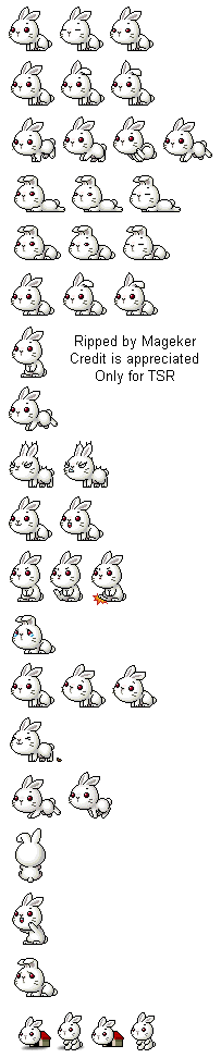 MapleStory - White Bunny