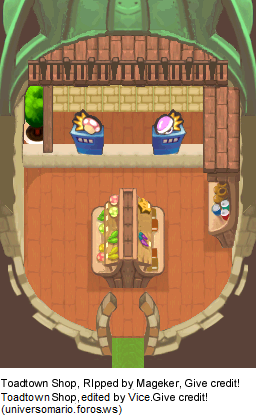 Mario & Luigi Customs - Toad Town Shop (Repaired)
