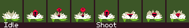 Momodora: Moonlit Farewell - Water Lily