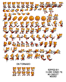 Tails (High-End, Small)