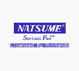 Return of the Ninja - Natsume Startup Screen