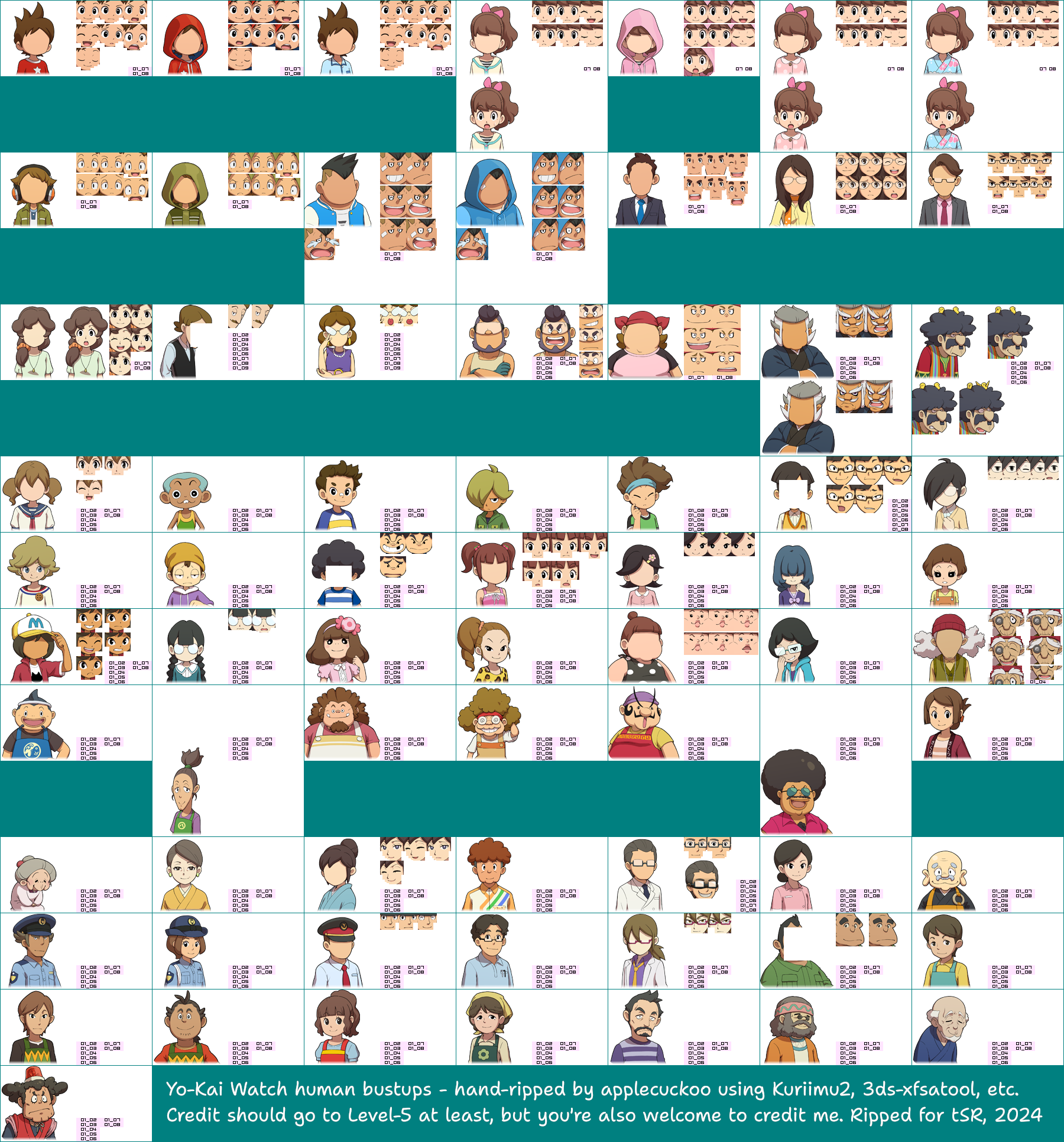 Human Bustups