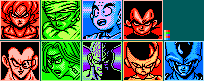 Dragon Ball Z 5 (Bootleg) - Character Portraits