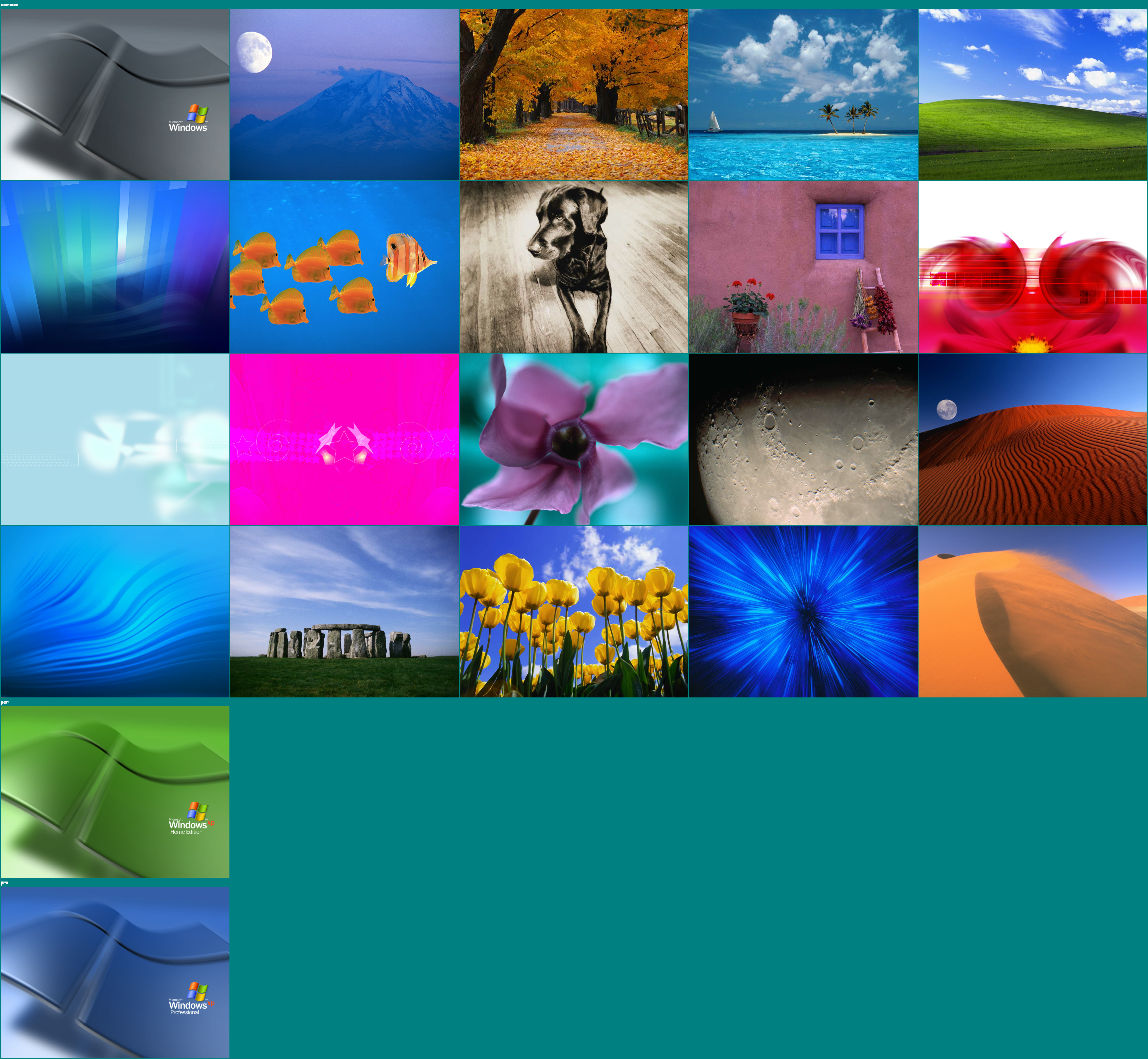 Windows XP Built-In Applications - Wallpapers