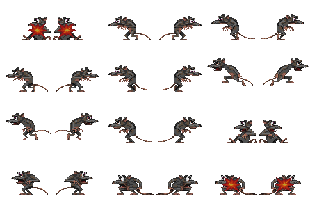 Rat