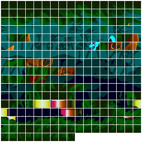 Swamp 5