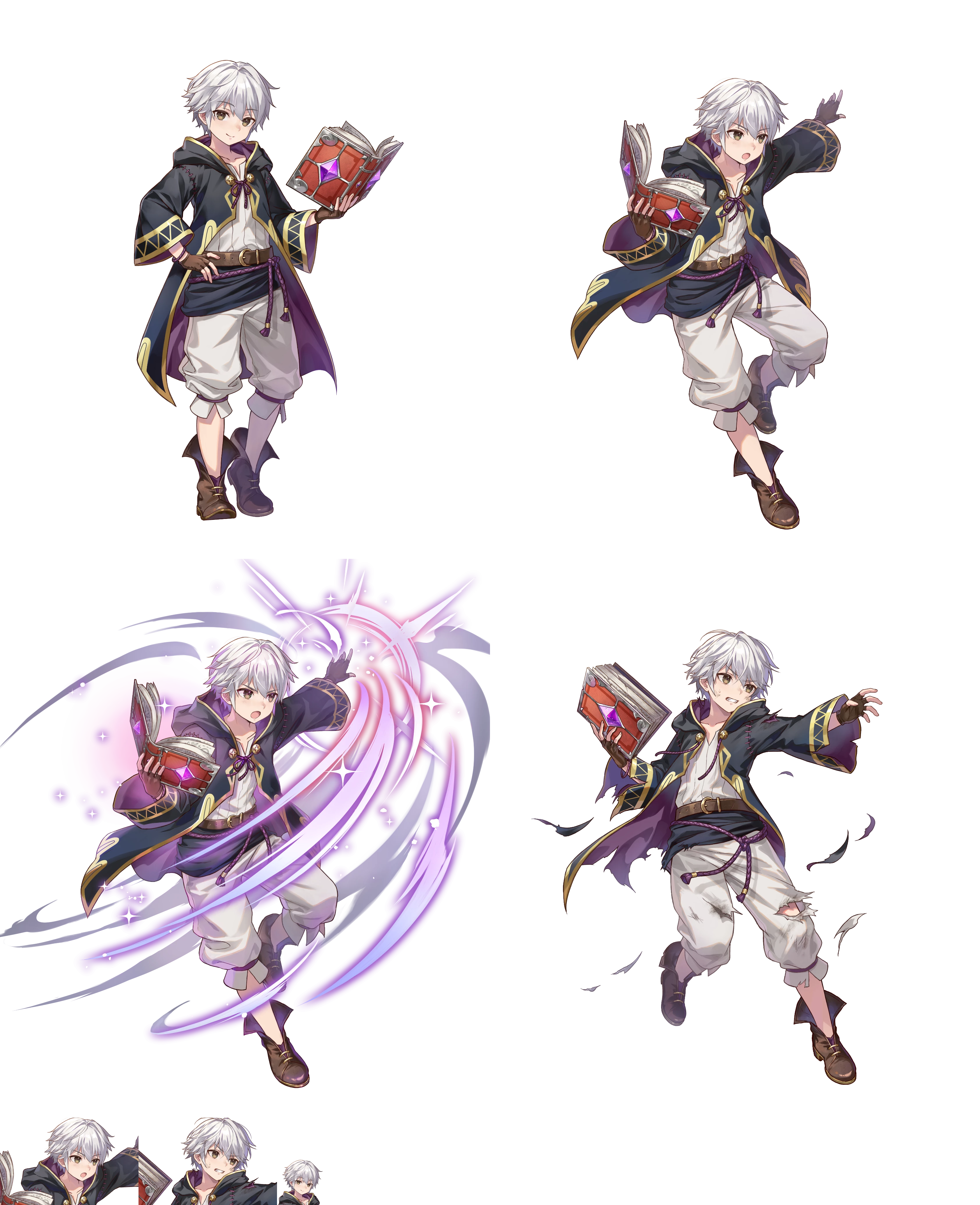Robin (Double Vision)