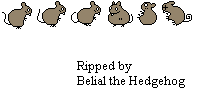 Mouse & Bird