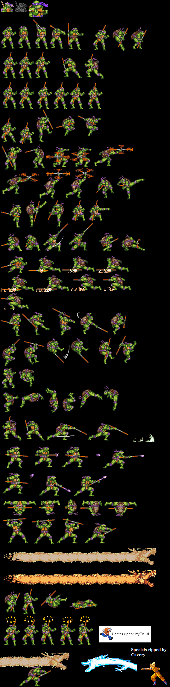Teenage Mutant Ninja Turtles: Tournament Fighters - Donatello