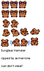 Sunglasses Hamster