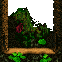 Donkey Kong Country - Jungle Hijinxs - Bonus 2