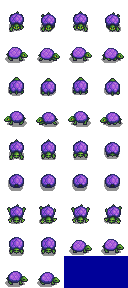 Turtle (Purple)