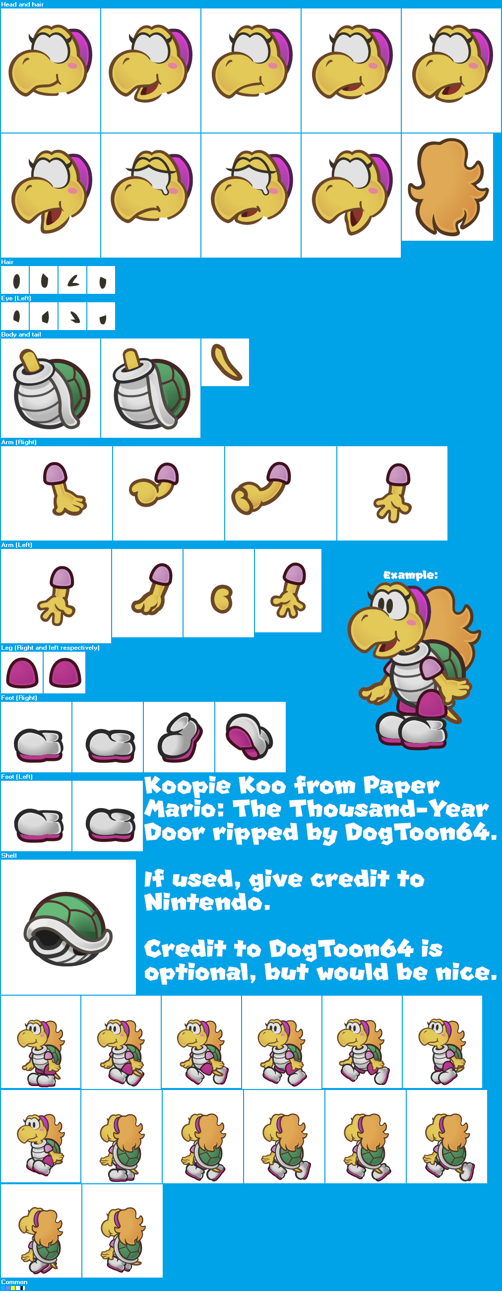 Koopie Koo
