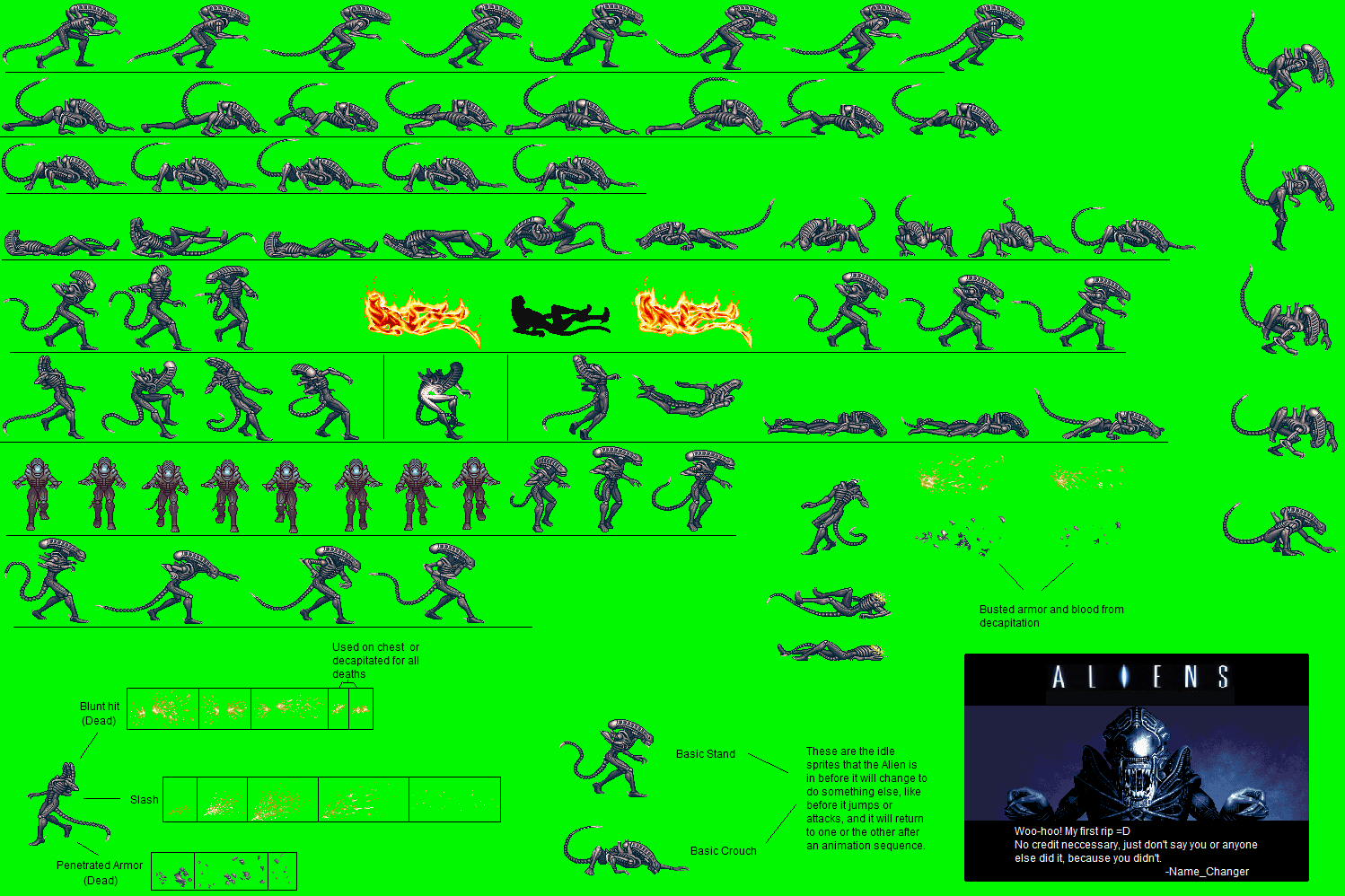 Alien vs. Predator - Alien Warrior