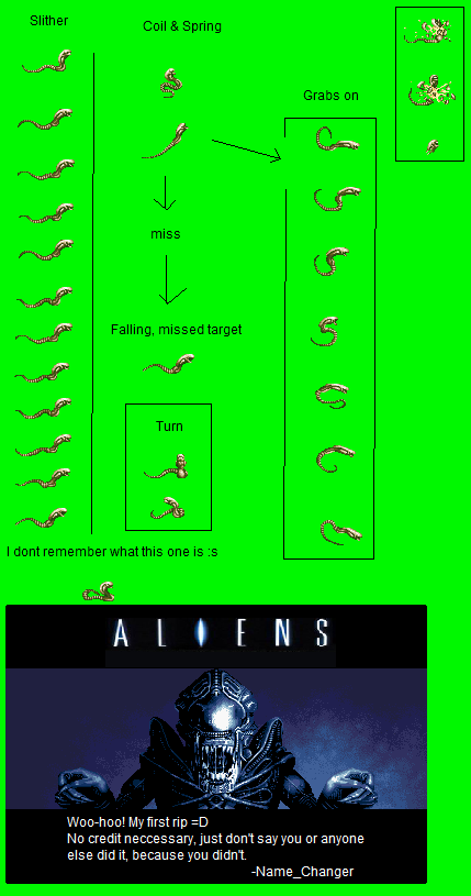 Alien vs. Predator - Chestburster