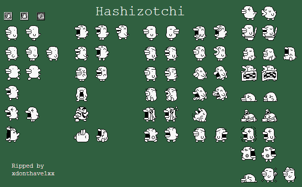 Hashizotchi