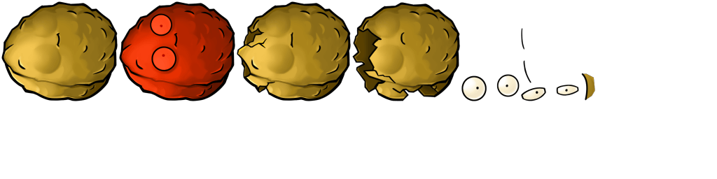 Wall-Nut