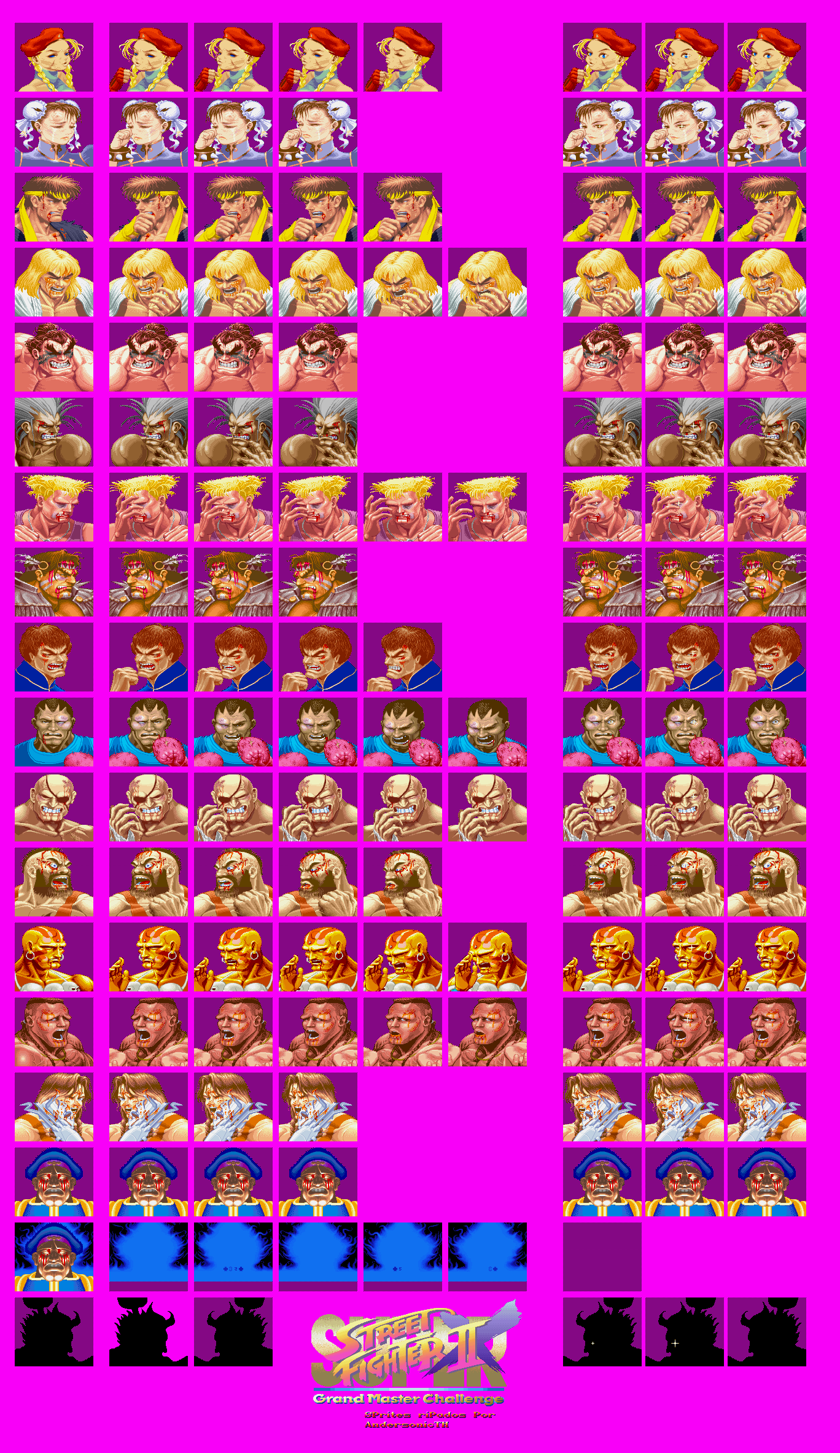 Continue Portraits (Super Street Fighter II Turbo)