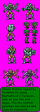 Shining Force 2 - Chaos Warrior