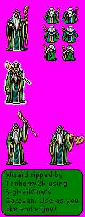 Shining Force 2 - Wizard