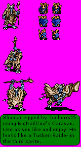 Shining Force 2 - Shaman