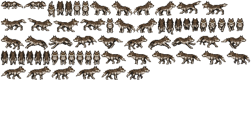 Wolf