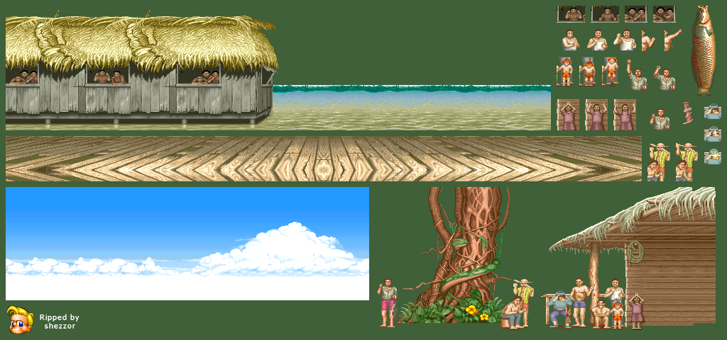 Blanka's Stage