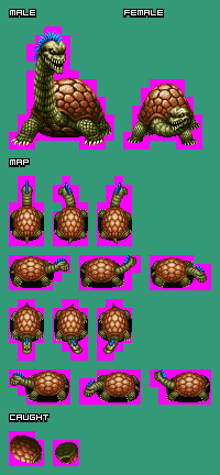 Linda³ Again - 097. Turtle