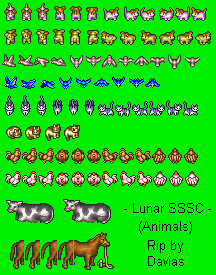 Animals