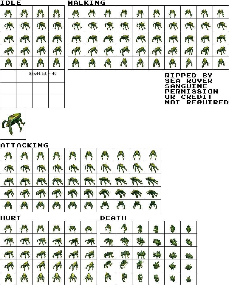 Beetle