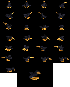 Bird