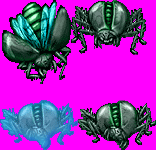 Beetle