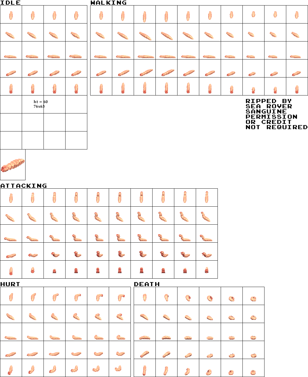 Worm