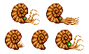 Ammonite