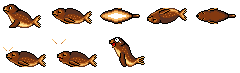 Sea Lion