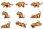 Hyaenodon