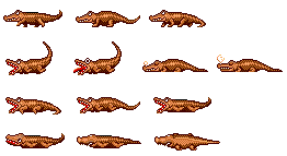 Alligator