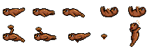 Sea Otter