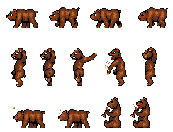 Grizzly Bear