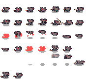 Rat